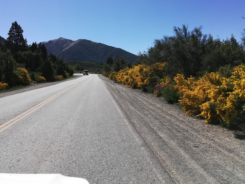 alquiler de autos en bariloche